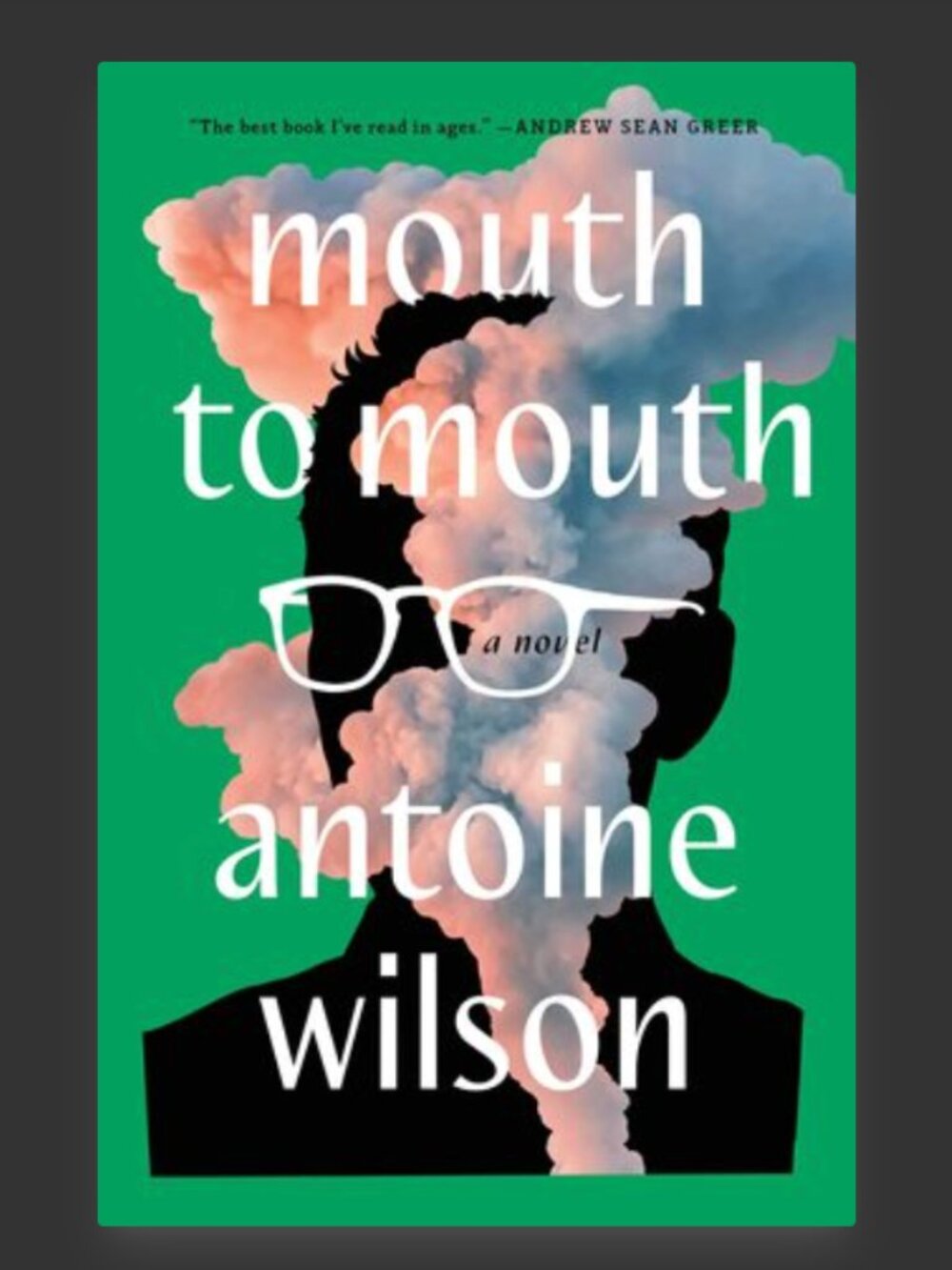 2/$10 Mouth to Mouth by Antoine Wilson